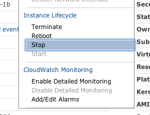 Stop Instance